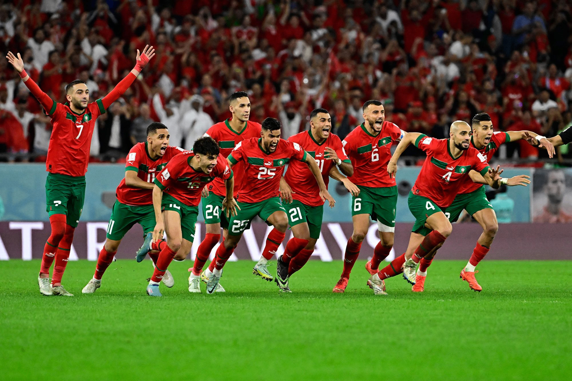 Lions de l'Atlas